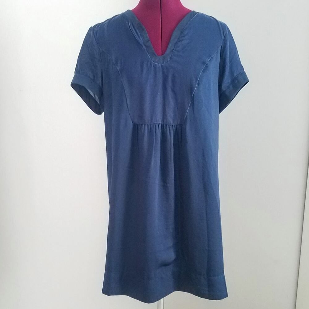 Forest Lily Blue Tunic Style Dress with Velvet